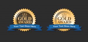 Gold vector award badges